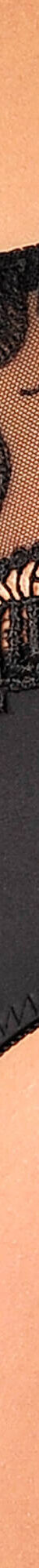 Gainette microfibre et guipure Rima - lot de 2 (noir) Gainette microfibre et guipure Rima - lot de 2 (noir)